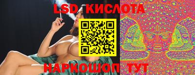 стаф Краснодар