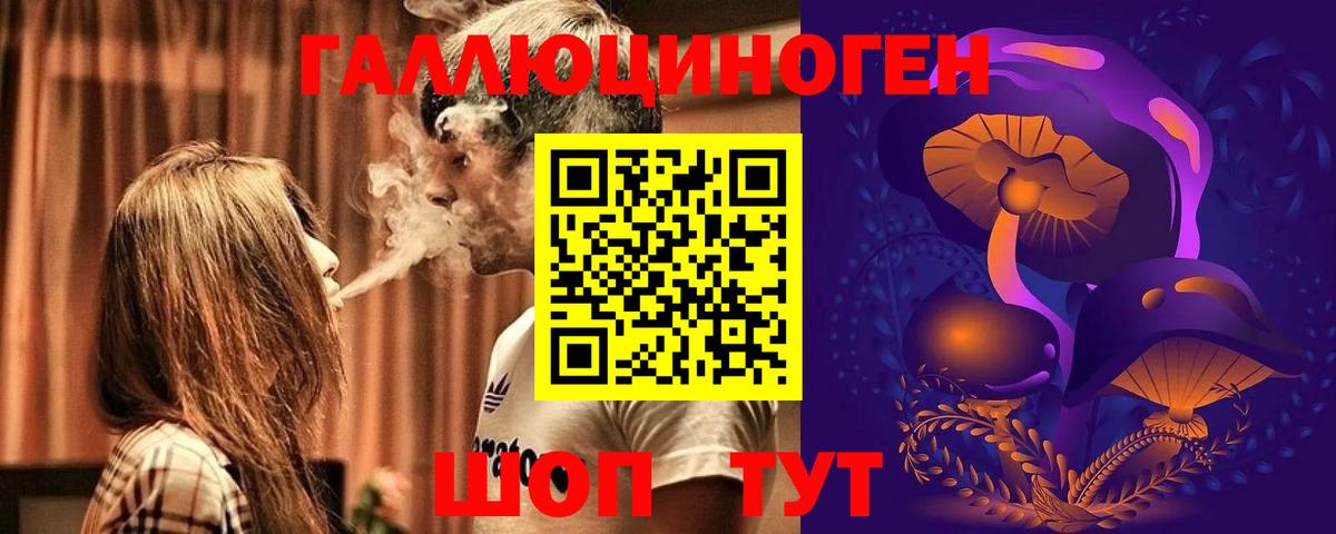 Кизилюрт  Галлюциногенные грибы прущие грибы  Вход с VPN 