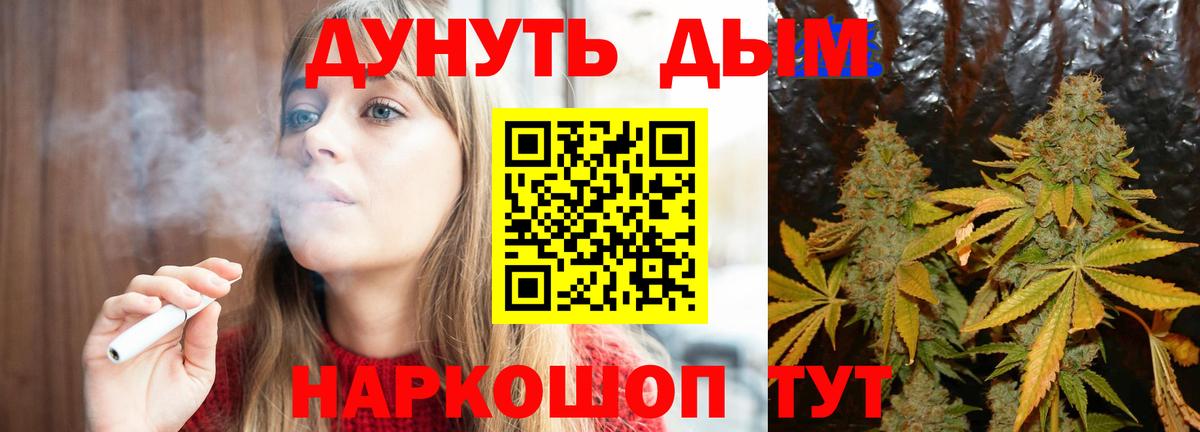 Конопля ГИДРОПОН  Бошки марихуана SATIVA & INDICA  Бошки Шишки THC 21%  Вход с VPN  Кизилюрт  Конопля планчик 